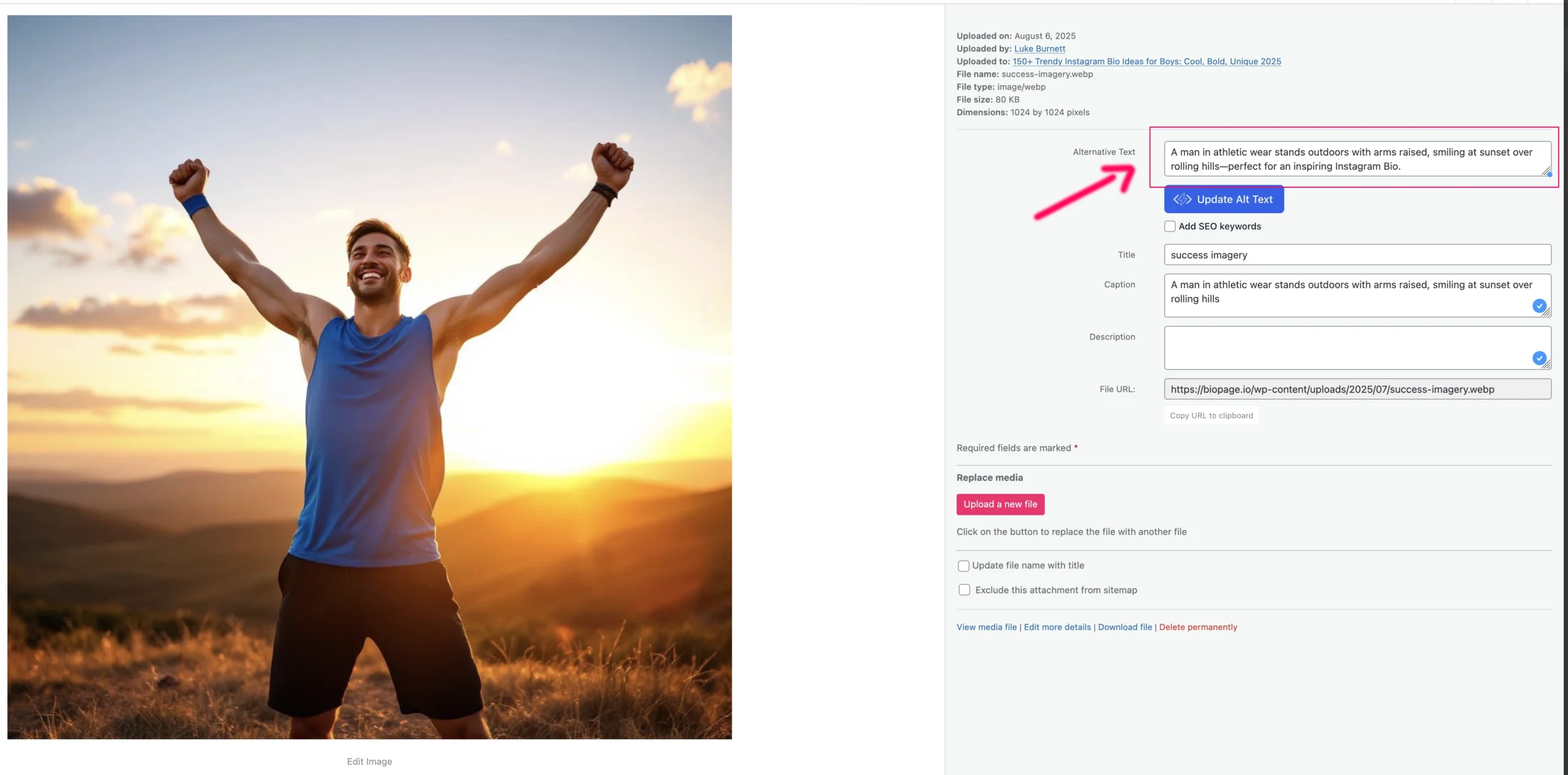 A man in athletic shorts and a tank top stands outside at sunset with arms raised, smiling, against a blurred landscape background—an uplifting moment captured in Image Descriptions.