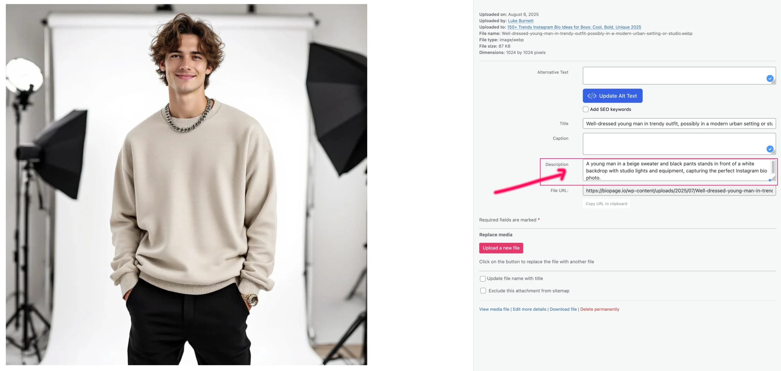 A young man with curly hair stands in a photo studio, modeling a beige sweatshirt and black pants. Image descriptions reveal lighting equipment visible in the background, adding a professional touch to the scene.